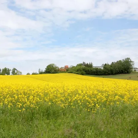 Wassernahes Mit Meerblick Und Schwimmbadnutzung In Sellin - Rohrweihe Holiday home Gager