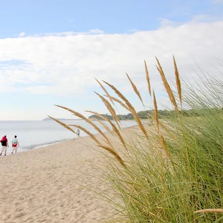 Wassernahes Mit Meerblick Und Schwimmbadnutzung In Sellin - Rohrweihe Holiday home Gager