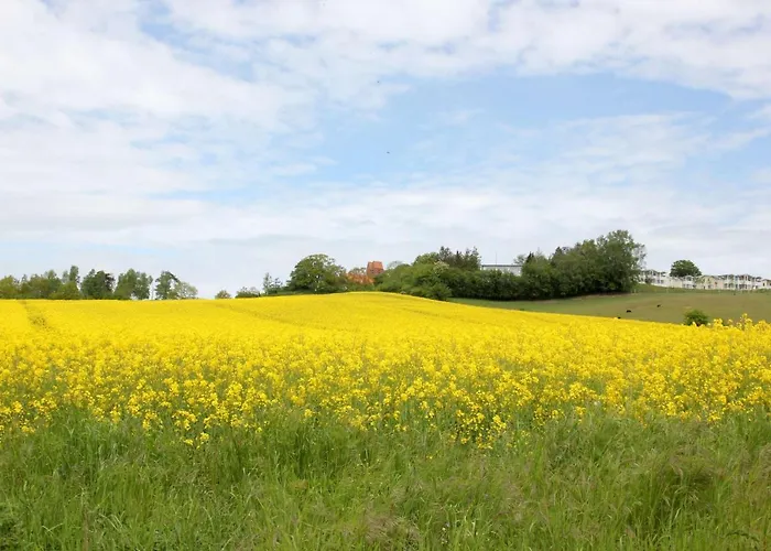 Wassernahes Mit Meerblick Und Schwimmbadnutzung In Sellin - Rohrweihe Prázdninový dům Gager
