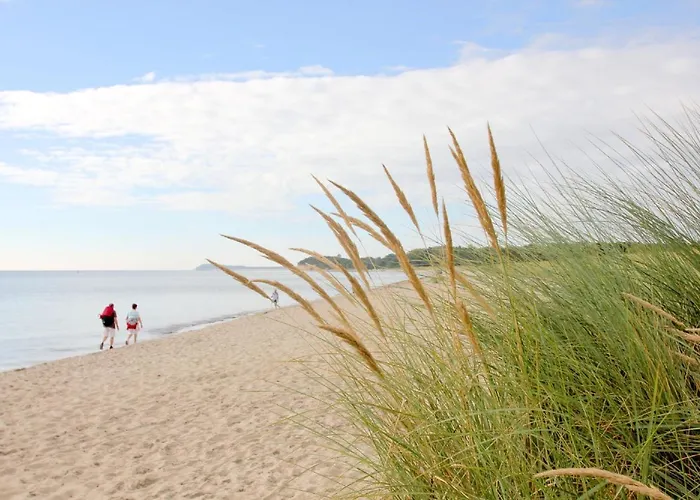 Wassernahes Mit Meerblick Und Schwimmbadnutzung In Sellin - Rohrweihe Prázdninový dům Gager